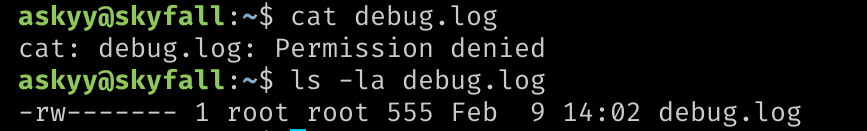 Права на файл debug.log