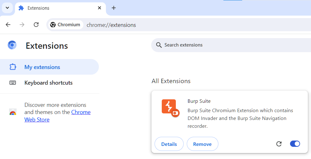 Расширение Burp Suite должно быть включено