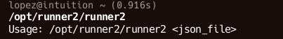 Запуск runner2 Запуск runner2